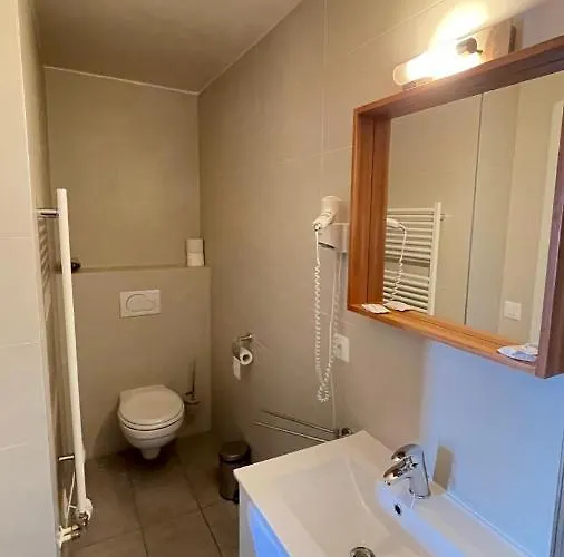 Relais De L'aerodrome 3* 프랑쟝