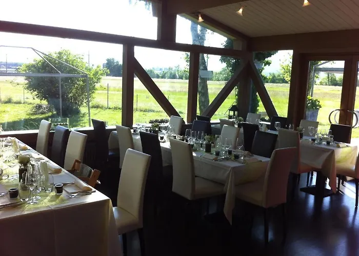 Relais De L'aerodrome 3*