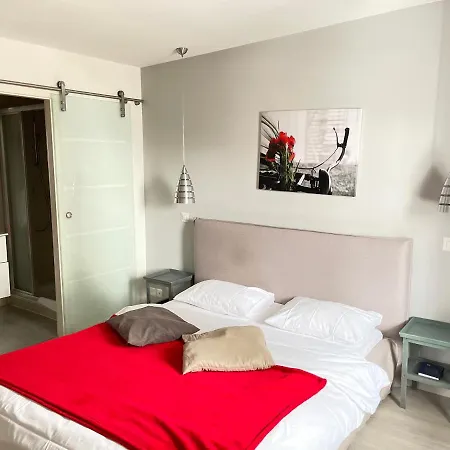 Relais De L'aerodrome Hotel